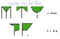 ../images/characters/base_limbe.gif