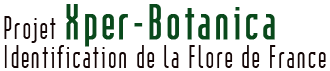 Projet Xper-Botanica - Identification de la flore de France